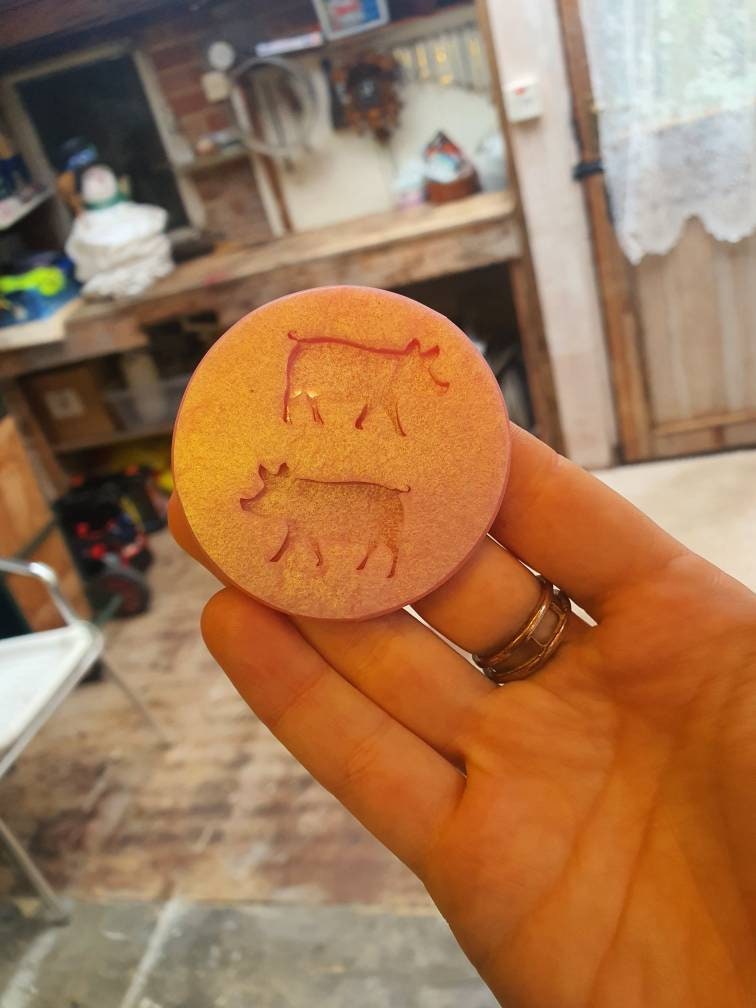 1.1 inch Cute Pigs Silicone Mould