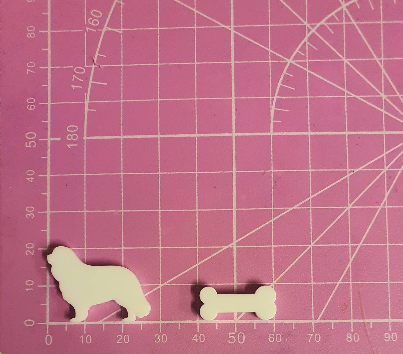 Cavaliers & Bones Silicone Mould