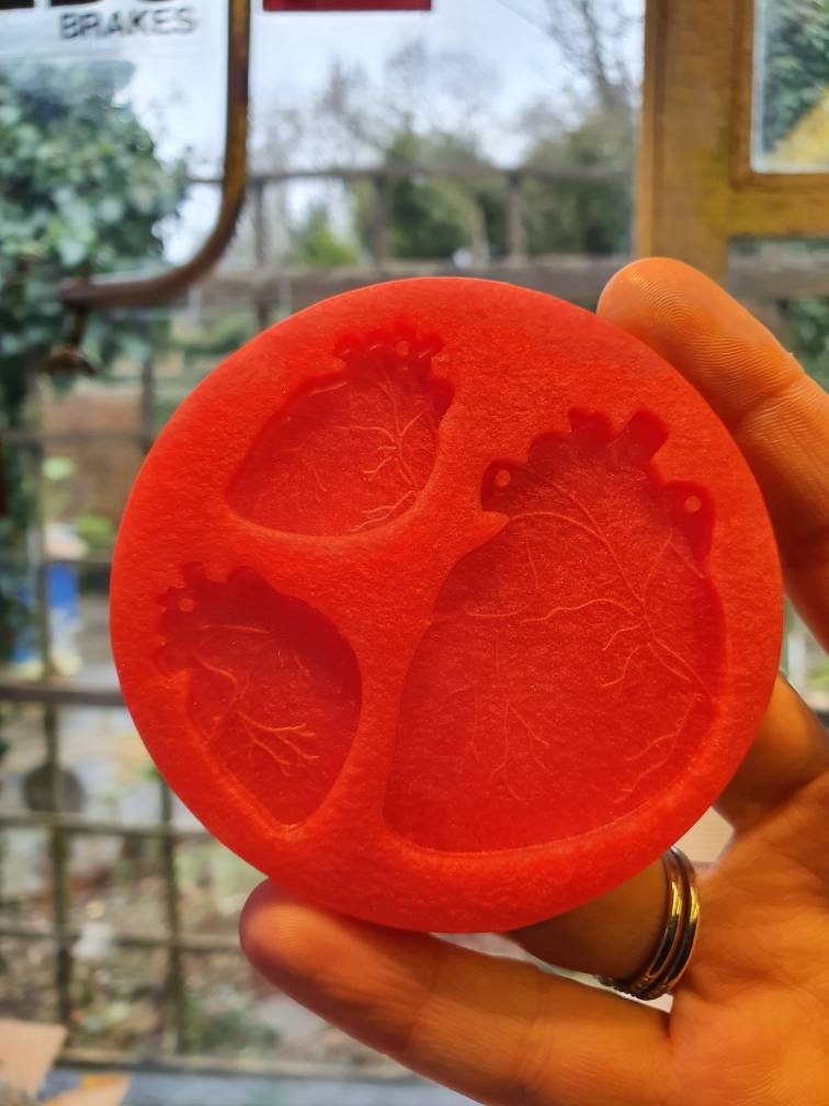 Little & Large Anatomical Hearts Silicone Mould