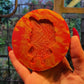 3 inch Barb Silicone Mould