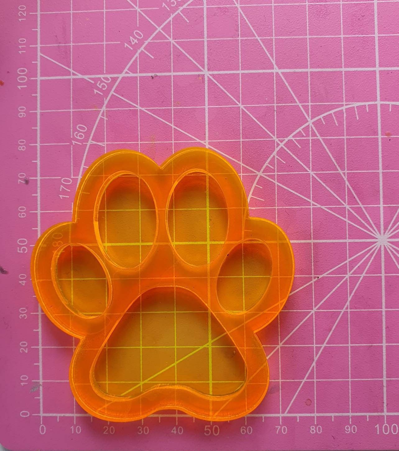 3 inch Paw Shaker Silicone Mould