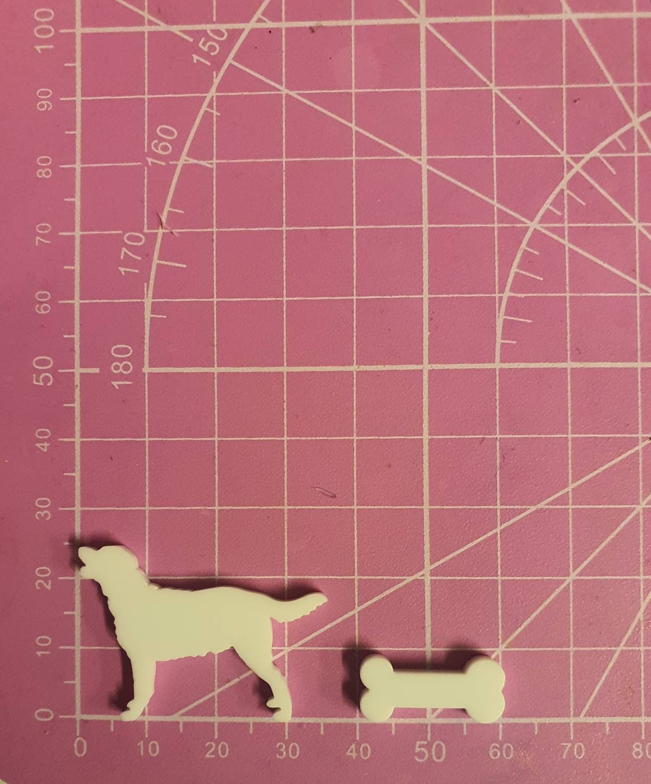 Labradors & Bones Silicone Mould