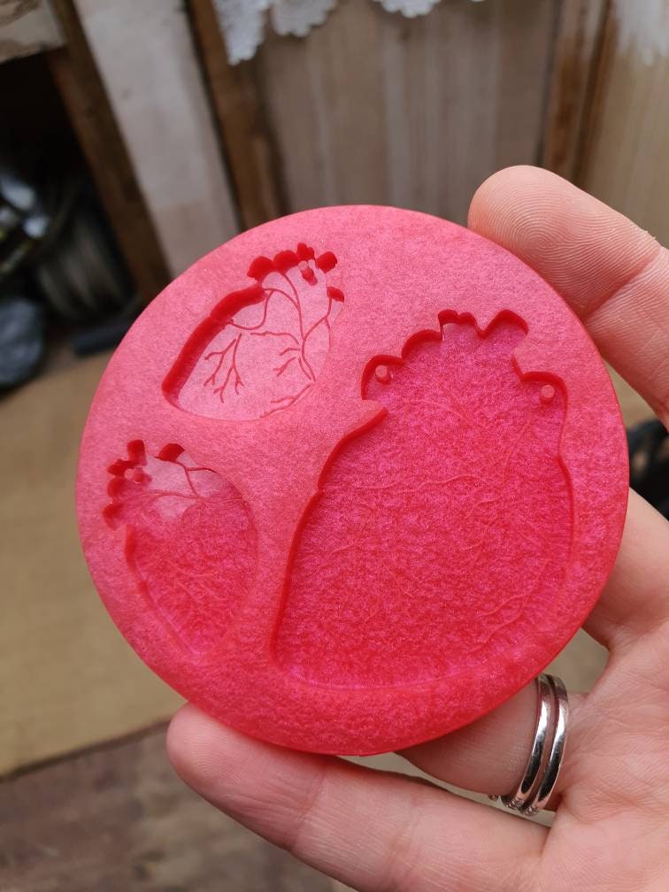 Little & Large Anatomical Hearts Silicone Mould