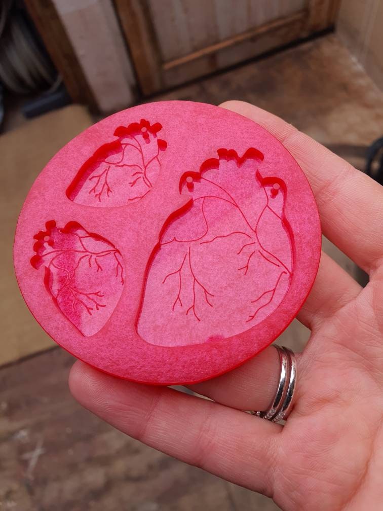 Little & Large Anatomical Hearts Silicone Mould