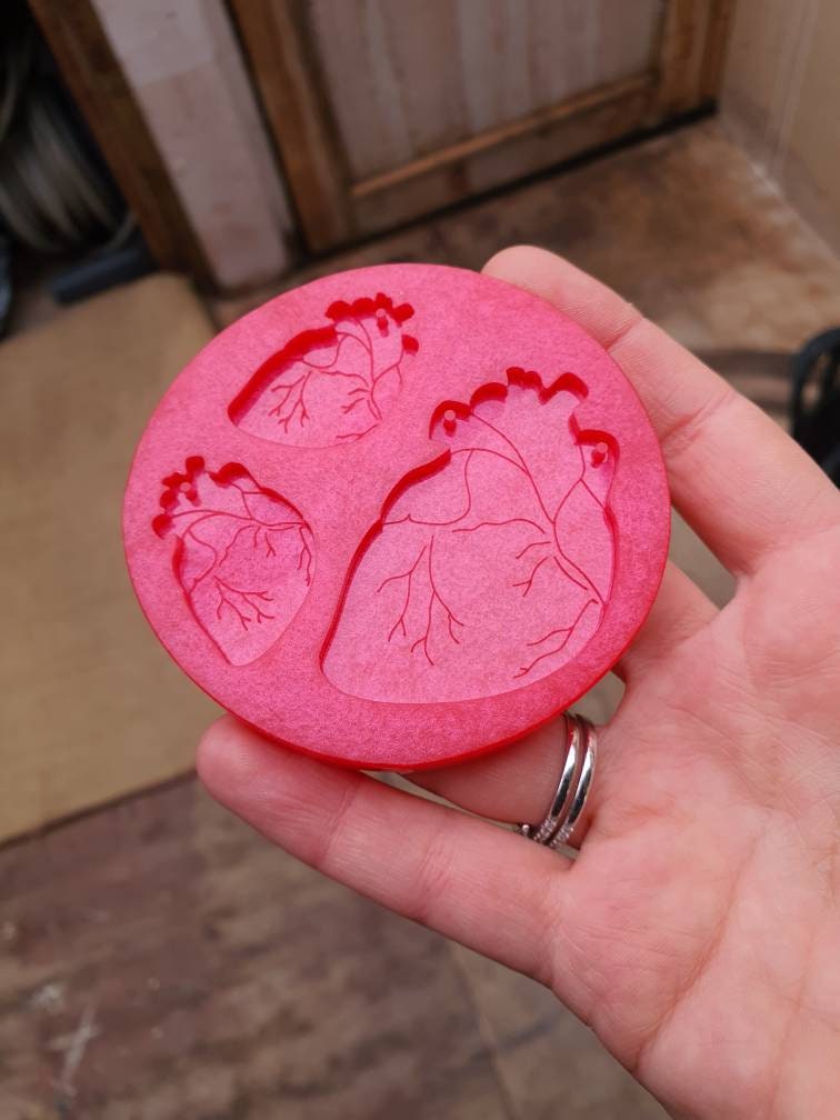 Little & Large Anatomical Hearts Silicone Mould