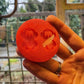 1.1 inch Spiders Silicone Mould