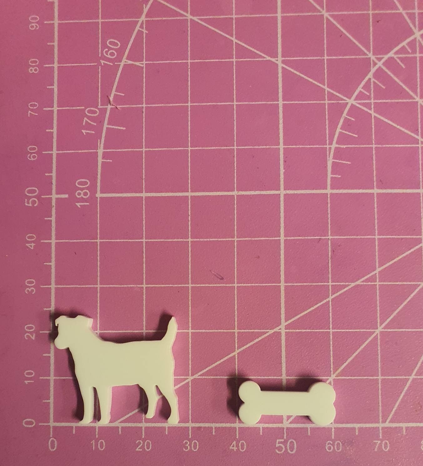 Jack Russells & Bones Silicone Mould