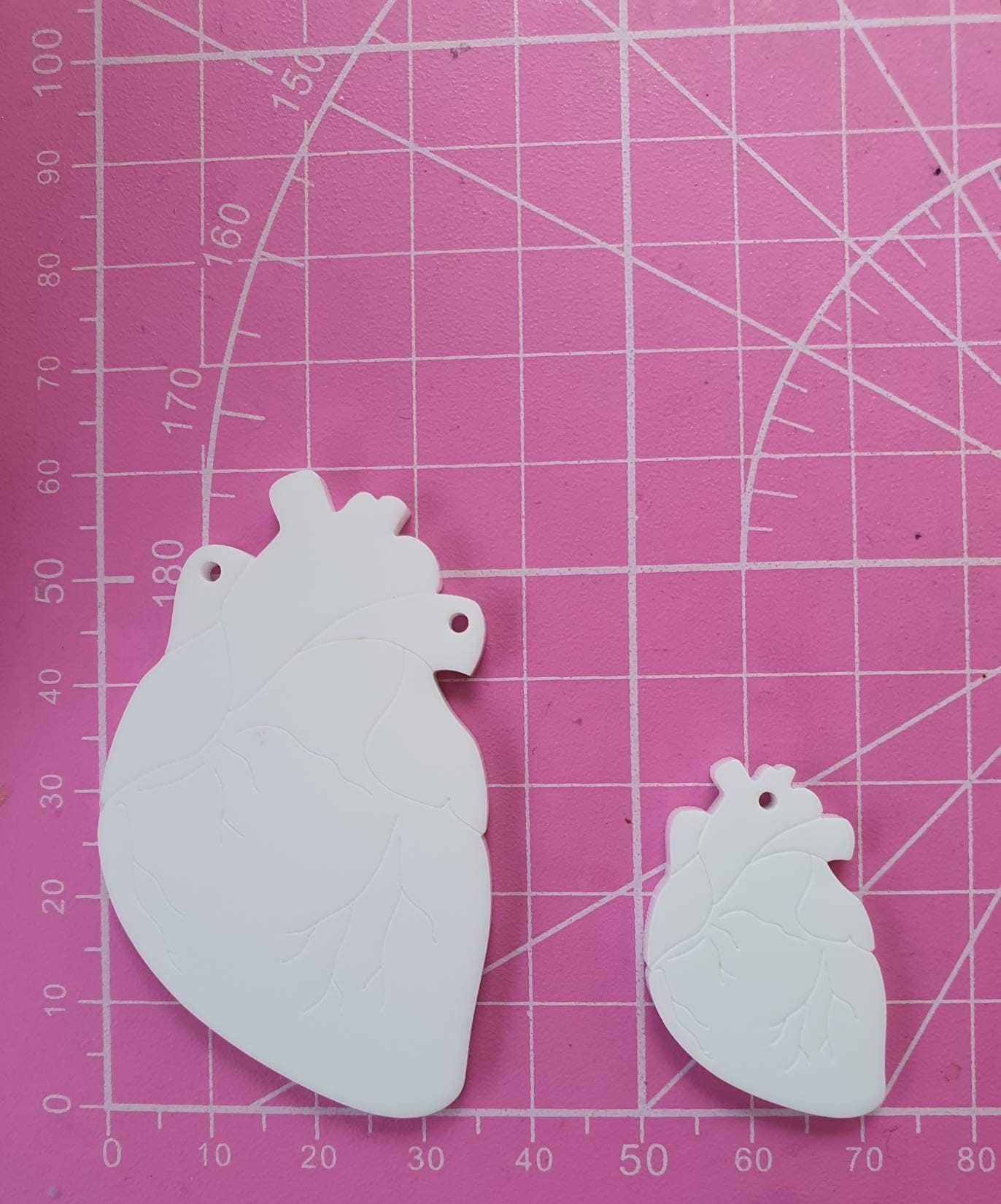 Little & Large Anatomical Hearts Silicone Mould