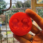 1.1 inch Spiders Silicone Mould