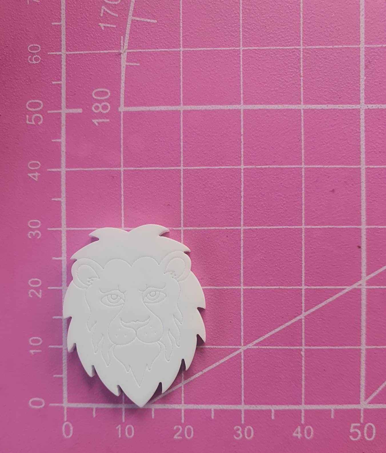1.1 inch Lion Faces Silicone Mould