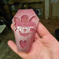 Winged Love Skeleton Silicone Mould