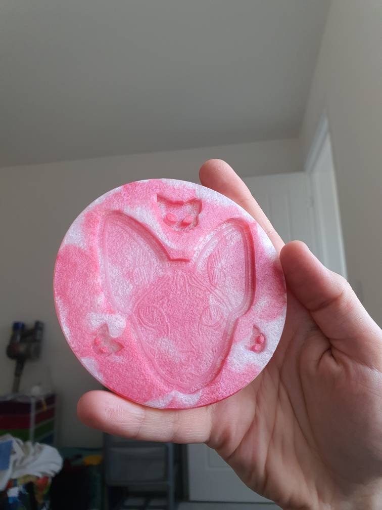 Sphynx Cat Head Silicone Mould