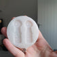 2 inch Skele-Gro Skeleton Bottles Silicone Mould
