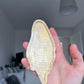 6 inch Candy Corn Ghost Silicone Mould