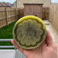 4 inch Flower Skull Tray Silicone Mould