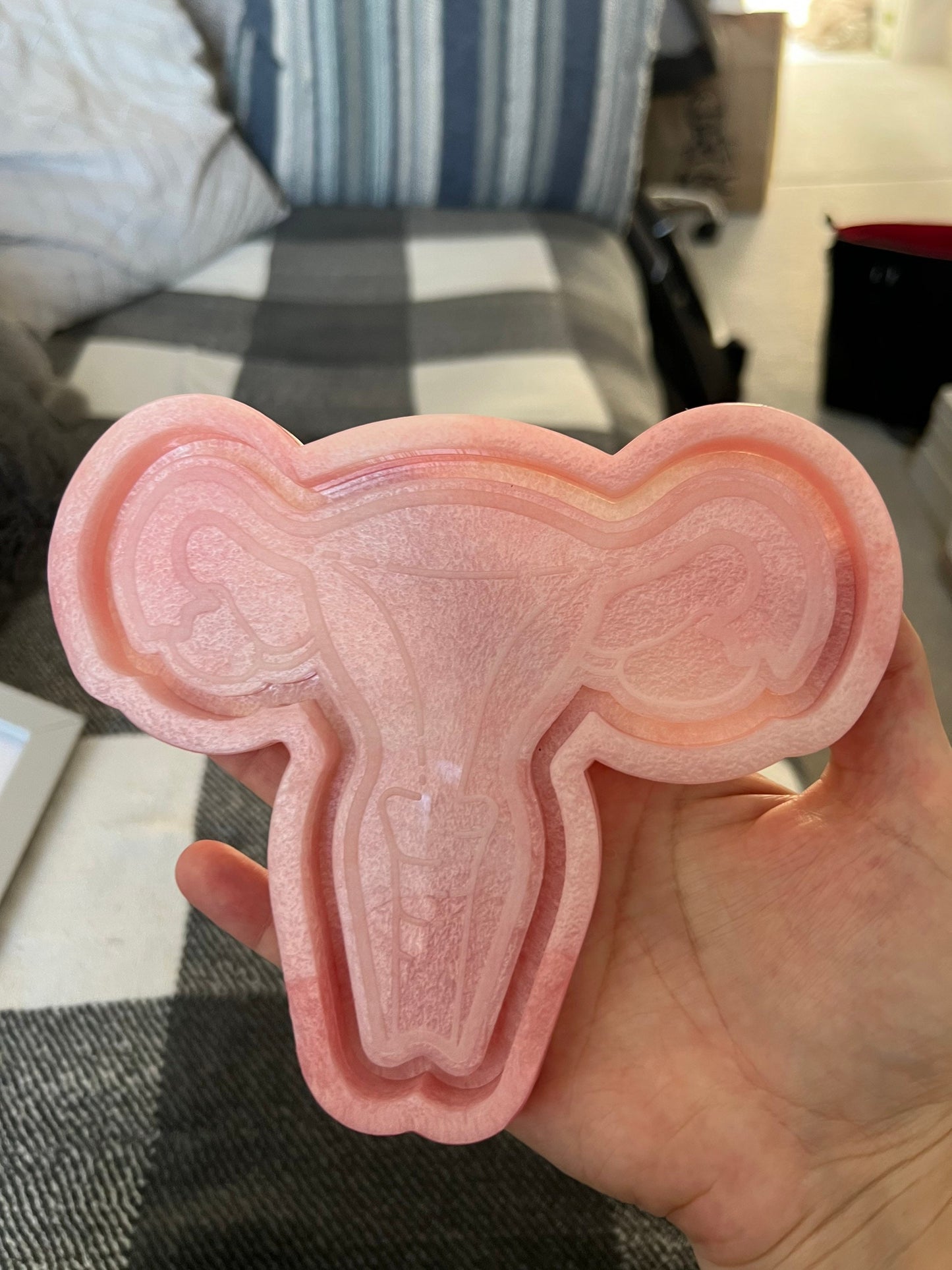 6 inch Uterus Tray Silicone Mould