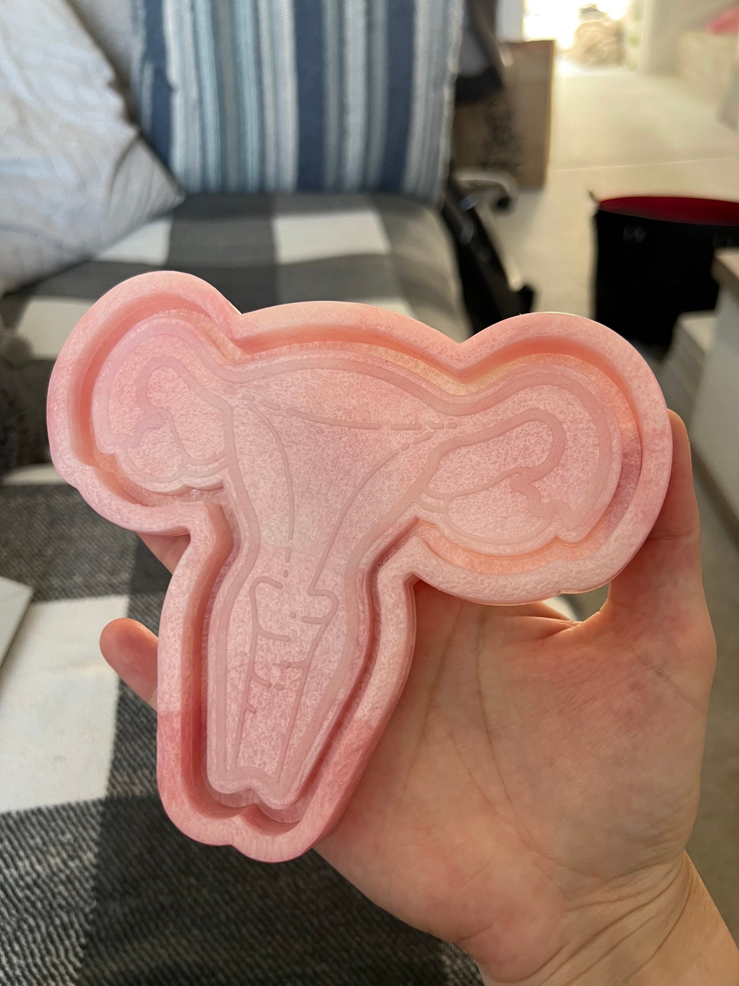 6 inch Uterus Tray Silicone Mould