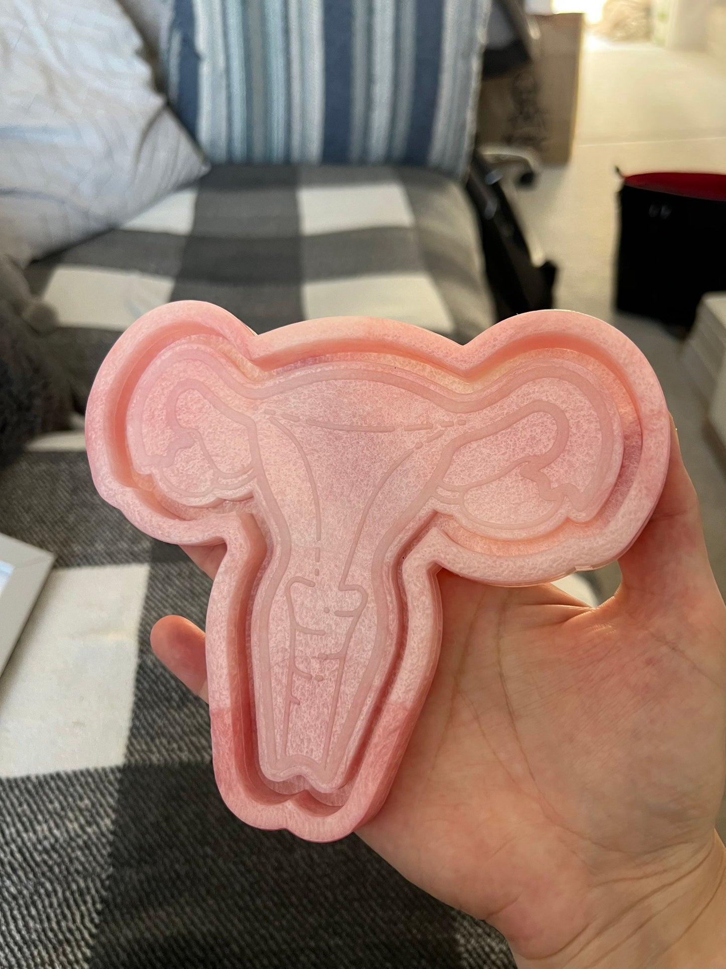 6 inch Uterus Tray Silicone Mould